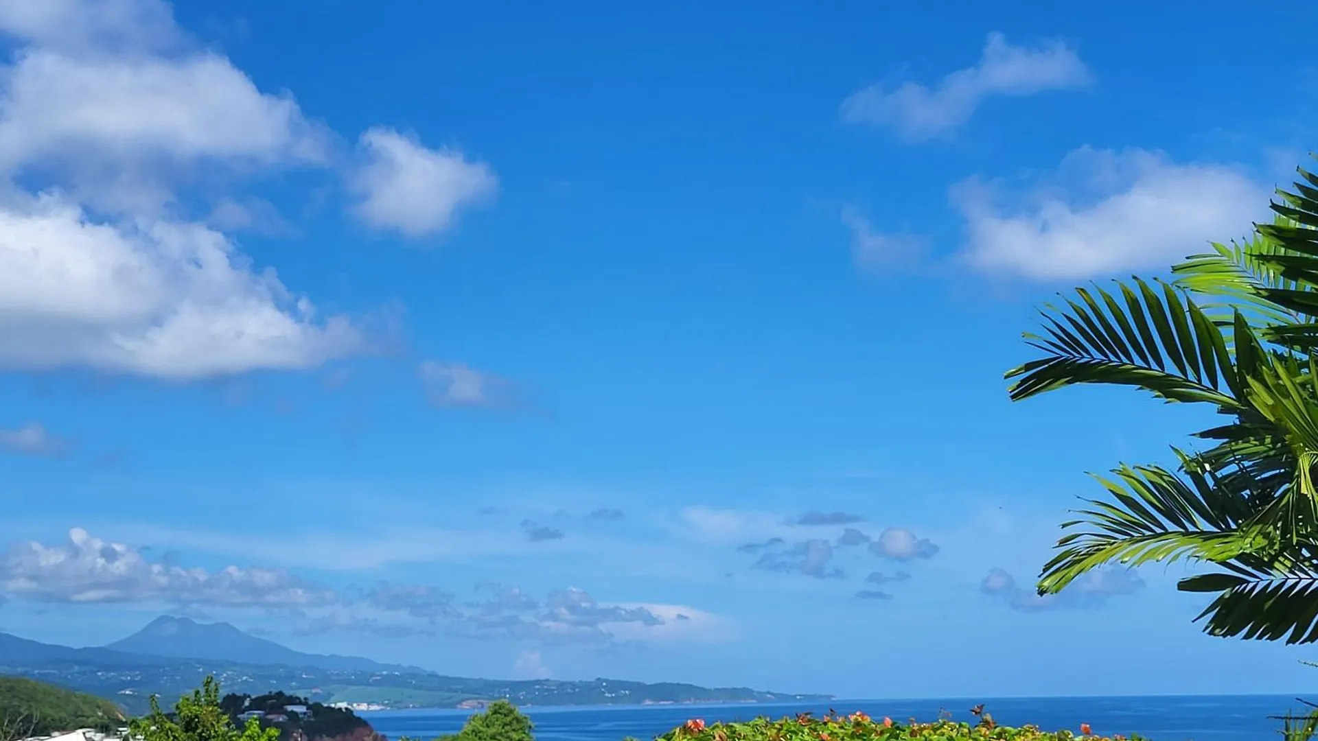 Apartment Serenity Tartane Martinique
